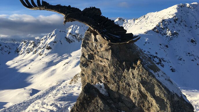 Masnerkopf Aussichtsplattform