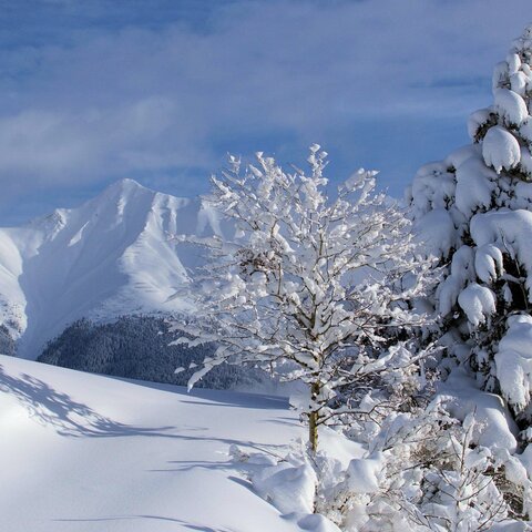 verschneite Winterlandschaft in Serfaus-Fiss-Ladis | © Serfaus-Fiss-Ladis/Tirol