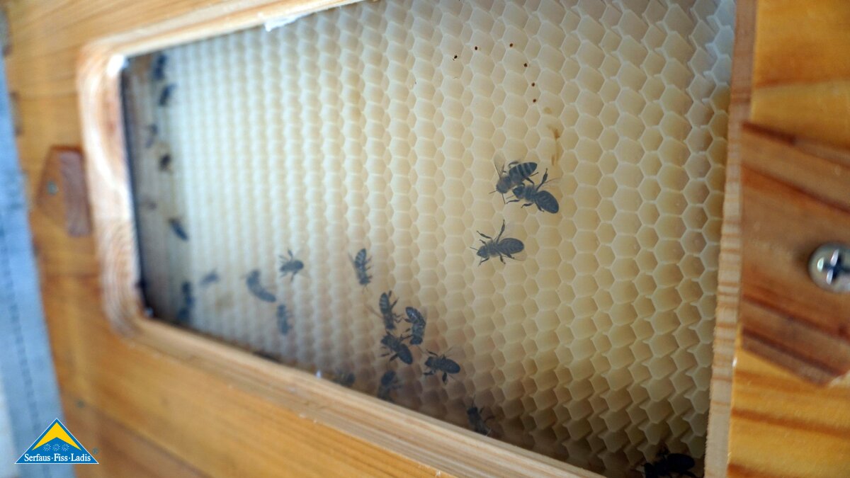 © Serfaus-Fiss-Ladis