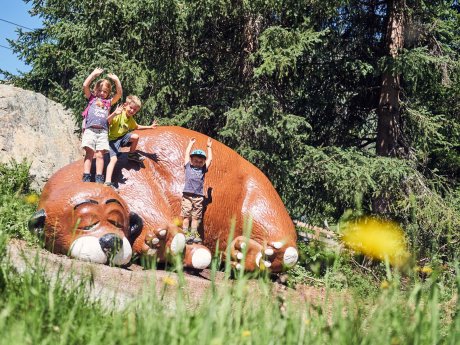 ein schlafender Bär mitten im Wald in Serfaus | © christianwaldegger.com