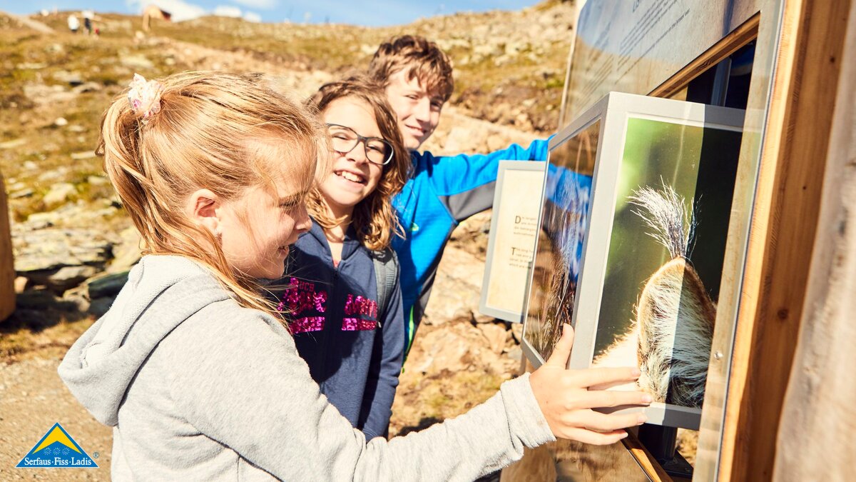 The Golden Man Trail is an interactive theme trail for the whole family in Serfaus-Fiss-Ladis in Tyrol | © christianwaldegger.com