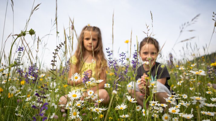 Zwei Kinder sitzen auf einer blühenden Almwiese voller Gänseblümchen und Wildblumen in Serfaus-Fiss-Ladis | © Andreas Kirschner