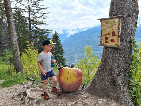 © Serfaus-Fiss-Ladis Marketing GmbH