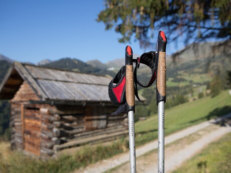Zwei Nordic Walking Stöcke stehen auf einem Wanderweg vor einer traditionellen Holzhütte in den Alpen bei Serfaus-Fiss-Ladis | © Serfaus-Fiss-Ladis Marketing GmbH | Andreas Kirschner