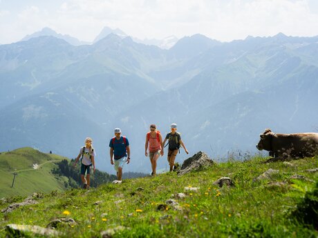 Vierköpfige Familie wandert an einem sonnigen Tag über eine Almwiese in Serfaus-Fiss-Ladis, eine Kuh liegt im Gras, im Hintergrund beeindruckende Berglandschaft | © Serfaus-Fiss-Ladis Marketing GmbH | Markus Lindl