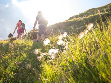 Wandern in der Familienregion Serfaus-Fiss-Ladis im Sommer
