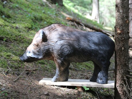 3D-Wildschweinfigur als Ziel für Bogenschützen auf dem Parcours in einem Wald bei Serfaus-Fiss-Ladis | © Serfaus-Fiss-Ladis Marketing GmbH | Andreas Kirschner