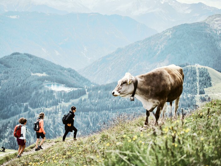 Kulinarikwanderung in Serfaus-Fiss-Ladis, Tirol, Österreich | © Serfaus-Fiss-Ladis Marketing GmbH | christianwaldegger.com