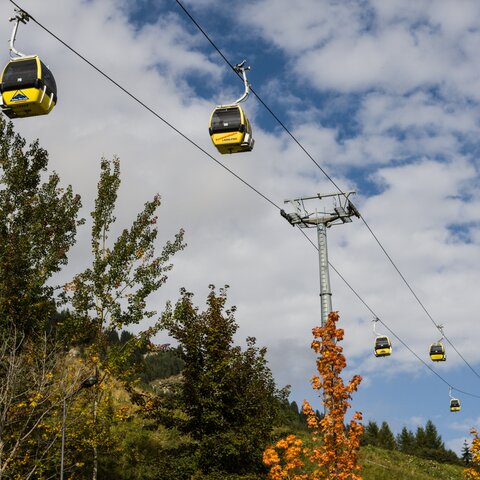 Herbststimmung bei der Sonnenbahn | © Andreas Kirschner