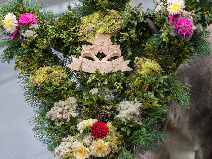 Geschmückte Kuh beim Almabtrieb in Serfaus Fiss Ladis in Tirol | © Andreas Kirschner