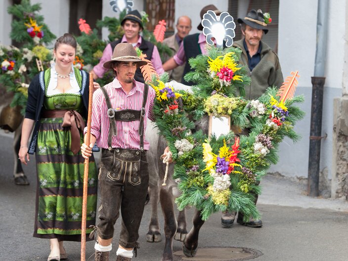 Kuh mit Hirte und Begleitung beim Almabtrieb in Serfaus Fiss Ladis in Tirol | © Andreas Kirschner