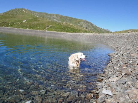 Abkühlung im Frommes See in Serfaus-Fiss-Ladis in Tirol | © Serfaus-Fiss-Ladis Marketing GmbH