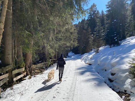 Urlaub mit Hund in Serfaus-Fiss-Ladis in Tirol | © Serfaus-Fiss-Ladis Marketing GmbH