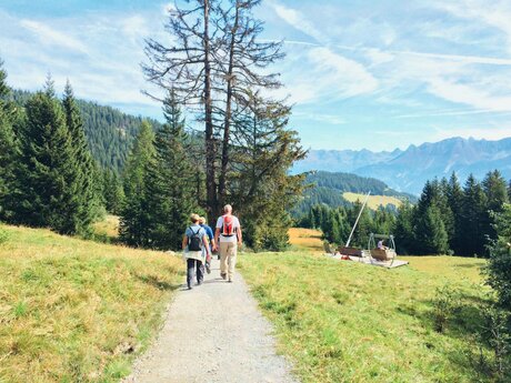 Wandern in Serfaus-Fiss-Ladis in Tirol | © Serfaus-Fiss-Ladis Marketing GmbH