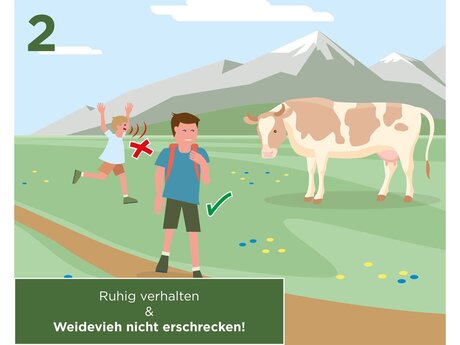 Ruhig verhalten und Weidevieh nicht erschrecken | © Serfaus-Fiss-Ladis Marketing GmbH