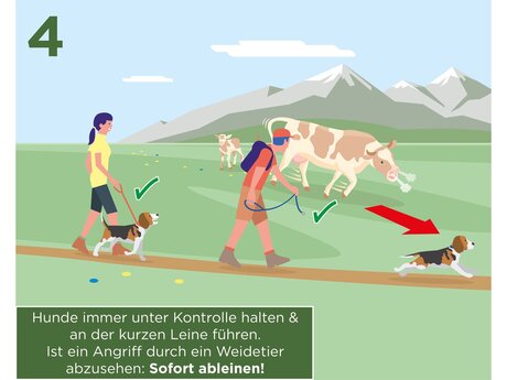 Hunde immer unter Kontrolle halten und an der kurzen Leine führen. Ist ein Angriff durch ein Weidetier abzusehen: sofort ableinen | © Serfaus-Fiss-Ladis Marketing GmbH