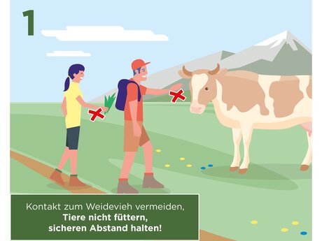 Kontakt zum Weidevieh vermeiden, Tiere nicht füttern, sicheren Abstand halten | © Serfaus-Fiss-Ladis Marketing GmbH