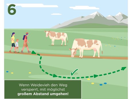 Wenn Weidevieh den Weg versperrt, mit möglichst großem Abstand umgehen | © Serfaus-Fiss-Ladis Marketing GmbH