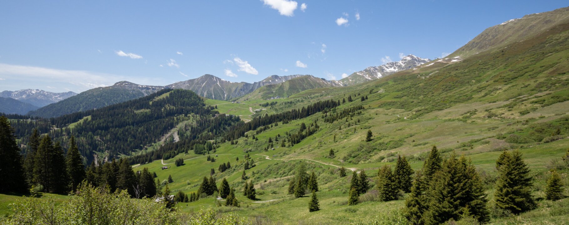 Sommerlandschaft mit Bergzinnen am Horizont und grüner Graslandschaft | © Serfaus-Fiss-Ladis Marketing GmbH | Andreas Kirschner