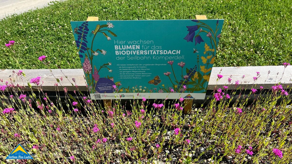 Projekt Biodiversitätsdach Blütenreich Gemeinsam für Vielfalt Bau Komperdellbahn der Seilbahn Komperdell in Serfaus-Fiss-Ladis in Tirol | © Seilbahn Komperdell GmbH