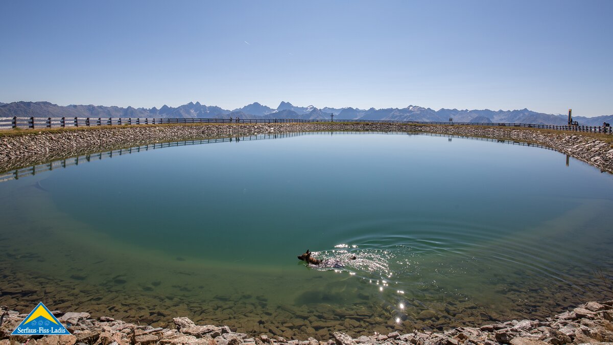 Ein Hund kühlt sich im Speicherteich Frommes in Fiss ab | © Andreas Kirschner