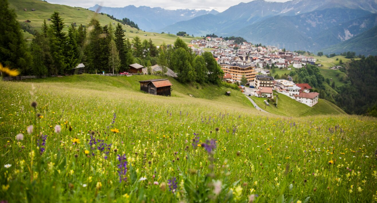 Eine Bergwiese in Serfaus Fiss Ladis mit tollem Ausblick | © Socialweb