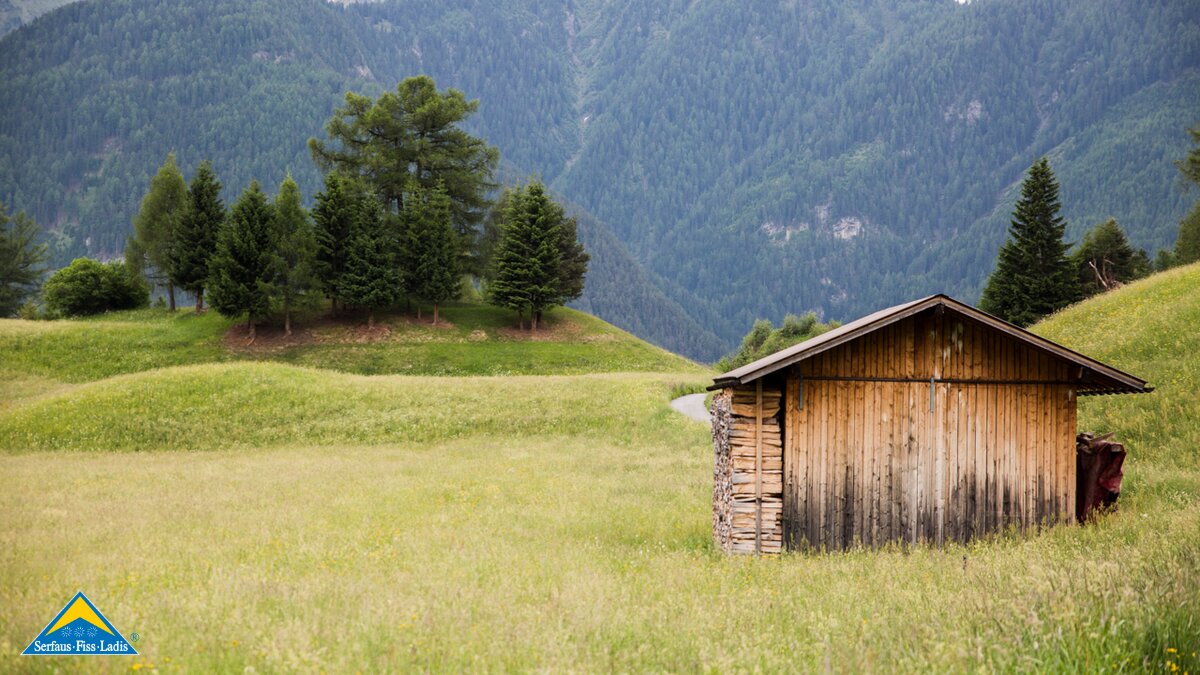Eine Wiese mit Stadl in Serfaus Fiss Ladis in Tirol | © Socialweb