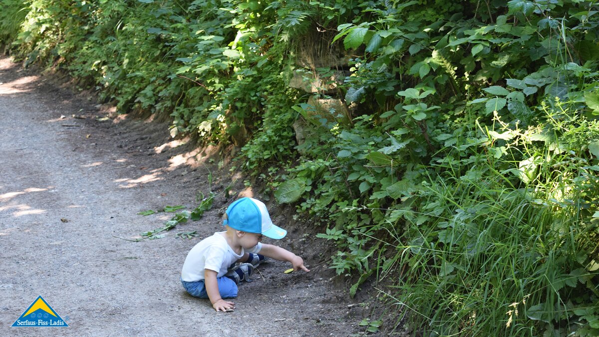 Entdeckungen im Wald | © Serfaus-Fiss-Ladis/Tirol