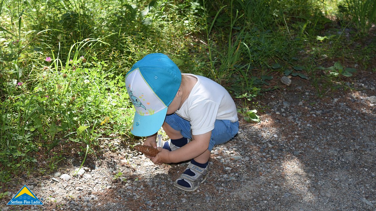 ein Zapfen liegt am Weg | © Serfaus-Fiss-Ladis/Tirol