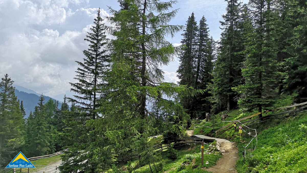 Der Alpkopftrail ist ein Singletrail in Serfaus-Fiss-Ladis in Tirol | © Serfaus-Fiss-Ladis