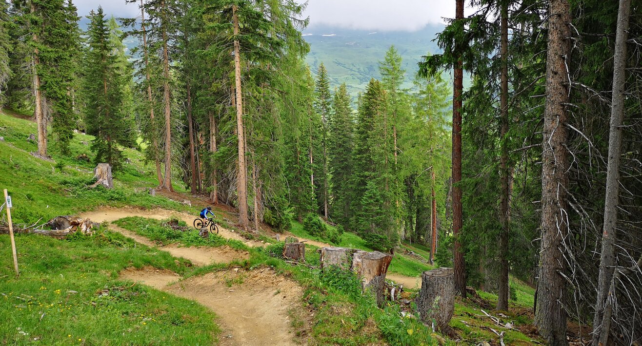 Der Högtrail ist ein Singletrail in Serfaus-Fiss-Ladis in Tirol | © Serfaus-Fiss-Ladis