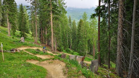 Der Högtrail ist ein Singletrail in Serfaus-Fiss-Ladis in Tirol | © Serfaus-Fiss-Ladis