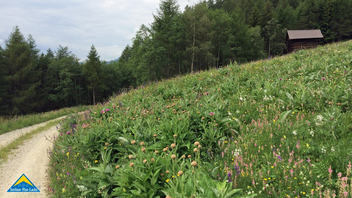 Die Gample Tour ist eine Biketour in Serfaus-Fiss-Ladis in Tirol für die ganze Familie | © Serfaus-Fiss-Ladis
