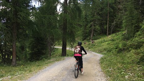 Der Fahrweg von der Schöngampalm zurück nach Fiss in Serfaus-Fiss-Ladis in Tirol | © Serfaus-Fiss-Ladis