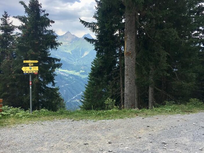Der Fahrweg zurück nach Fiss von der Schöngampalm bietet immer wieder tolle Aussichtspunkte | © Serfaus-Fiss-Ladis