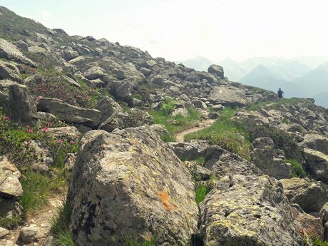 Wanderung über den Murmeltiersteig in Serfaus-Fiss-Ladis in Tirol | © Serfaus-Fiss-Ladis