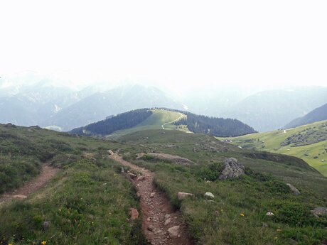 Wanderung über den Murmeltiersteig in Serfaus-Fiss-Ladis in Tirol | © Serfaus-Fiss-Ladis