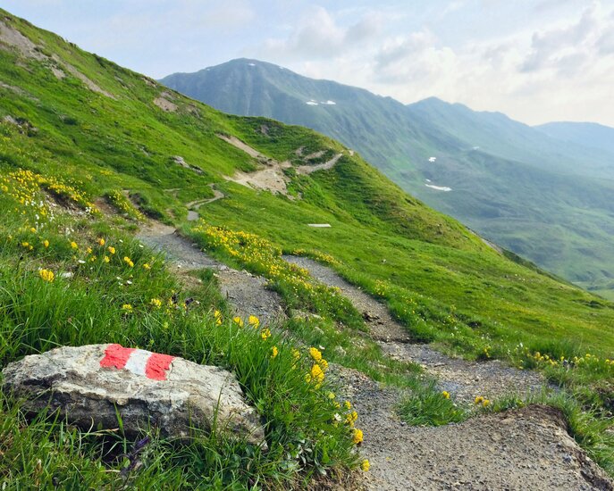 Der Murmeltiersteig ist ein Wandersteig in Serfaus Fiss Ladis in Tirol | © Serfaus-Fiss-Ladis