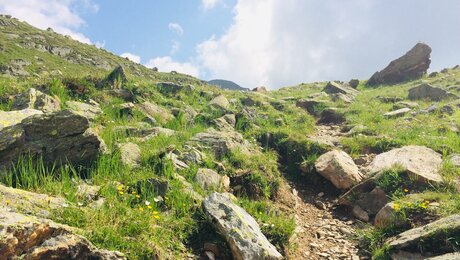 Der Murmeltiersteig ist ein Wandersteig in Serfaus-Fiss-Ladis in Tirol | © Serfaus-Fiss-Ladis
