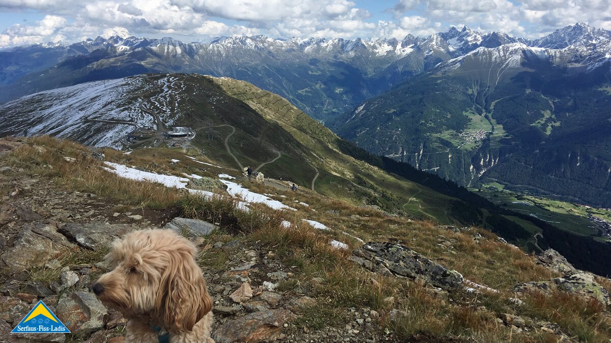 Hund Lemmi bei der Wanderung auf dem Schönjoch im Familien Wander Gebiet Serfaus Fiss Ladis in Tirol | © Serfaus-Fiss-Ladis