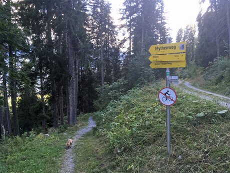 Herbstwanderung in Serfaus Fiss Ladis in Tirol. Wandern für die ganze Familie in Österreich | © Serfaus-Fiss-Ladis