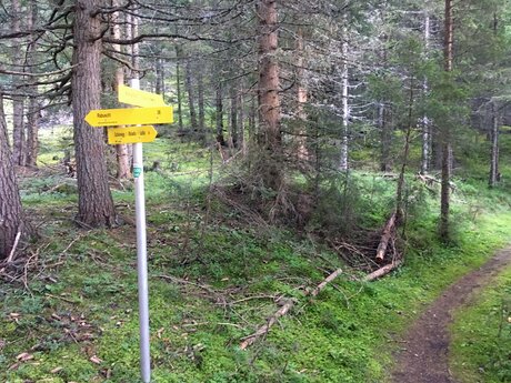 Wanderung durch die Wälder von Serfaus Fiss Ladis in Tirol nach Obladis in Österreich | © Serfaus-Fiss-Ladis