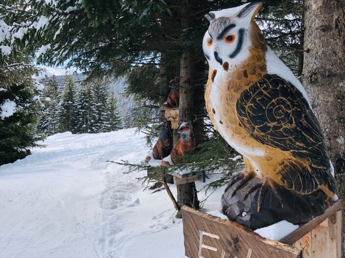 Themenpisten in Serfaus-Fiss-Ladis | © Reinhard Walch