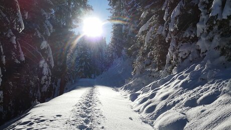 Schneeschuhwandern in Serfaus-Fiss-Ladis Tirol Österreich | © Serfaus-Fiss-Ladis Marketing GmbH