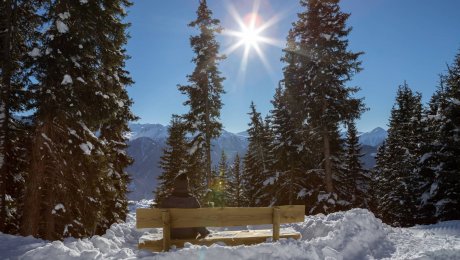 Eine Bank, am Wegesrand von Serfaus-Fiss-Ladis, mit einem schönen Ausblick auf die umliegenden Bäume und die Tiroler Bergwelt | © Serfaus-Fiss-Ladis Marketing GmbH I Andreas Kirschner