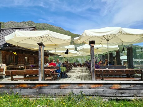 Sonnenterrasse vom Bergrestaurant Schöngampalm in der familienfreundlichen Urlaubsregion Serfaus-Fiss-Ladis in Tirol in Österreich | © Serfaus-Fiss-Ladis Marketing GmbH