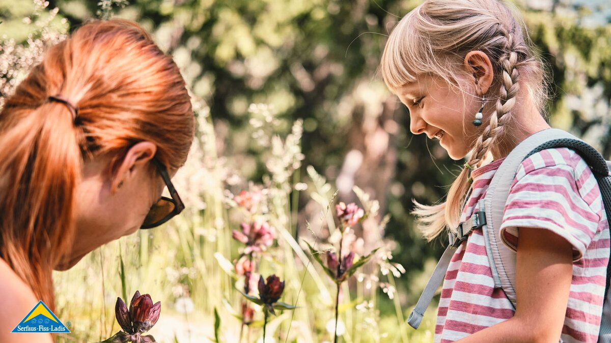 Der purpurrote Enzian, eine Pflanze die in der Fisser Gonde in der familienfreundlichen Urlaubsregion Serfaus-Fiss-Ladis in Tirol in Österreich zu finden ist. | © Serfaus-Fiss-Ladis Marketing GmbH I christianwaldegger.com