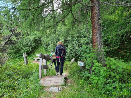 Wandern auf dem Natur Themensteig Fisser Gonde in der familienfreundlichen Urlaubsregion Serfaus-Fiss-Ladis in Tirol in Österreich | © Serfaus-Fiss-Ladis Marketing GmbH 
