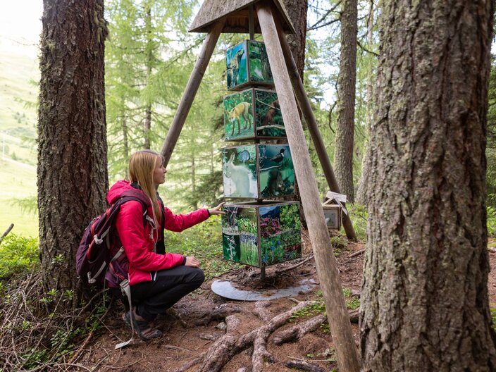 Spielestation im Naturdenkmal Fisser Gonde in der familienfreundlichen Urlaubsregion Serfaus-Fiss-Ladis in Tirol in Österreich. | © Serfaus-Fiss-Ladis Marketing GmbH I Andreas Kirschner
