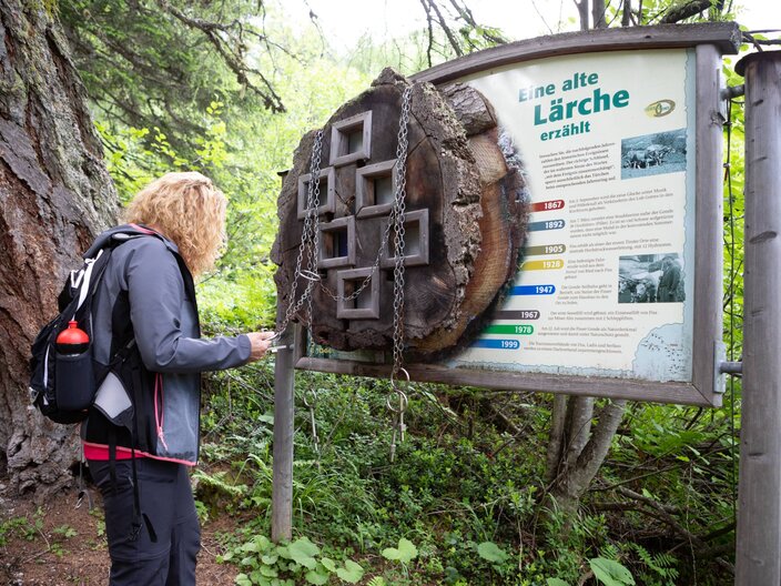 Informationstafel beim Natur Themensteig Fisser Gonde in der familienfreundlichen Urlaubsregion Serfaus-Fiss-Ladis in Tirol in Österreich. | © Serfaus-Fiss-Ladis Marketing GmbH I Andreas Kirschner